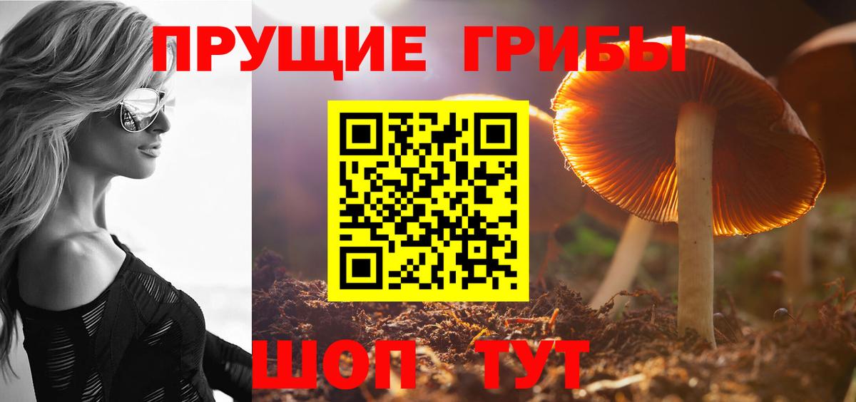 Галлюциногенные грибы прущие грибы  Вход с VPN  Дагестанские Огни 