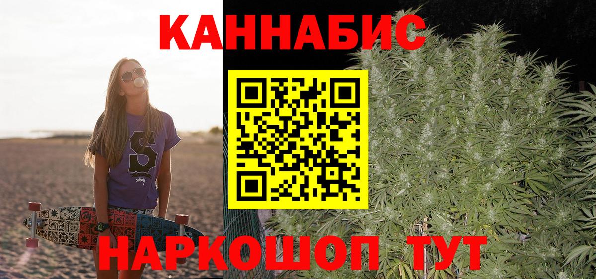 Бошки марихуана конопля Дагестанские Огни